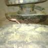 IMG00183-20100214-1226
