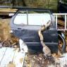IMG-20111117-00090-1851455810