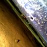 IMG-20120315-00549
