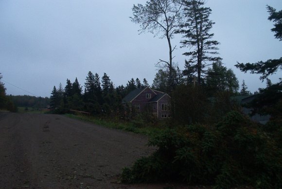 IM001115