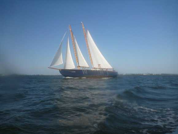 P1010226