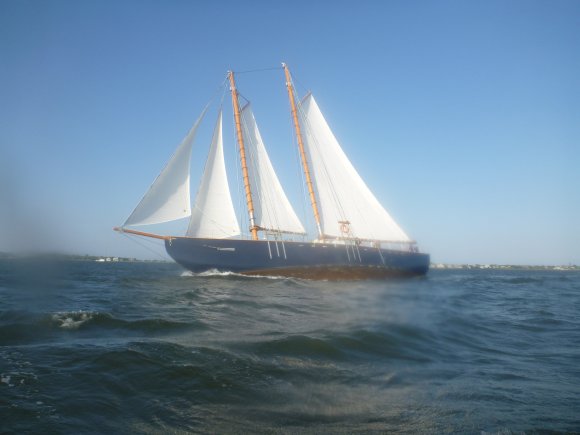P1010228