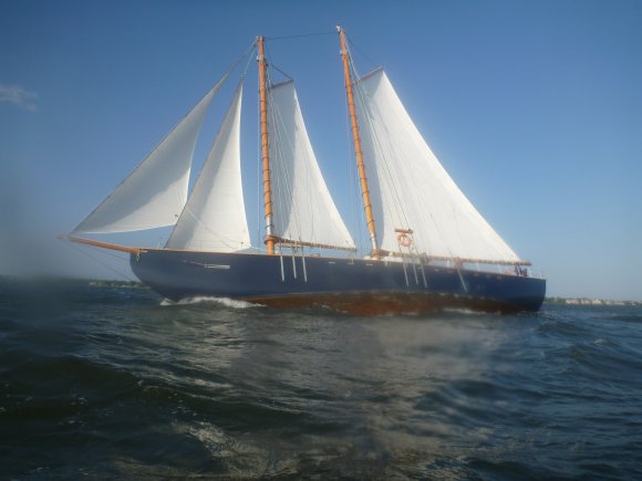 P1010230