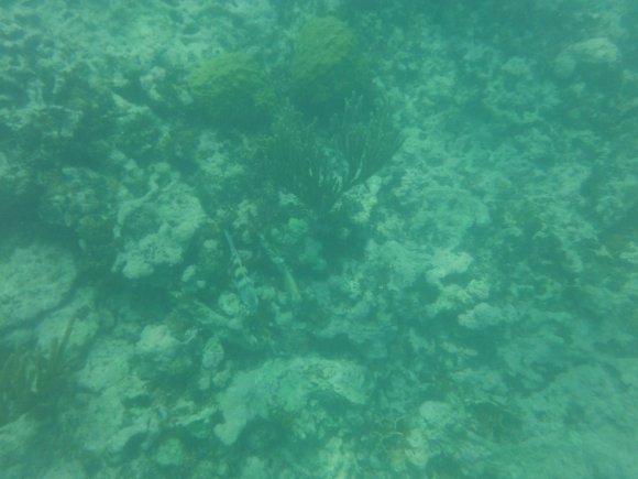 DSCF1167