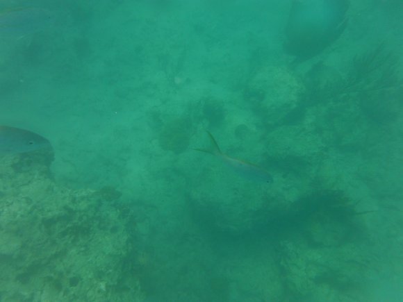 DSCF1178