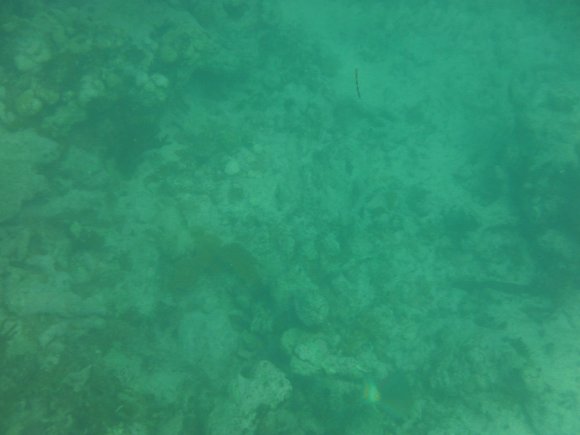 DSCF1208