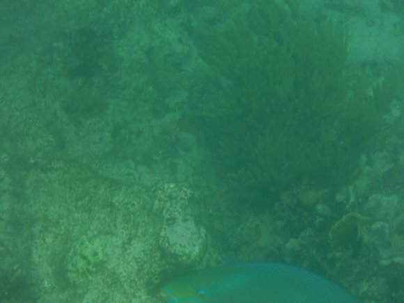 DSCF1209