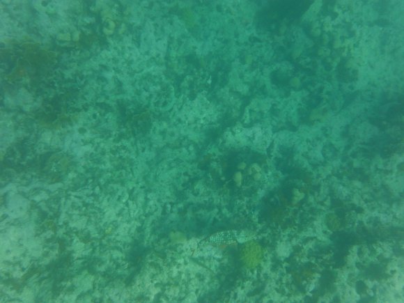 DSCF1232