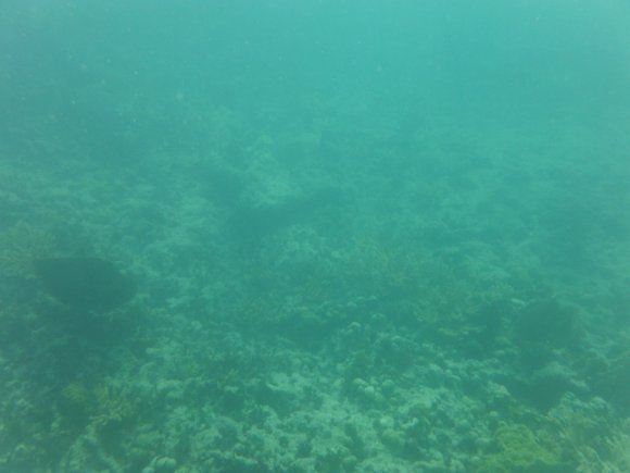 DSCF1244
