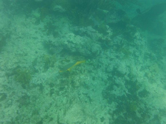 DSCF1251