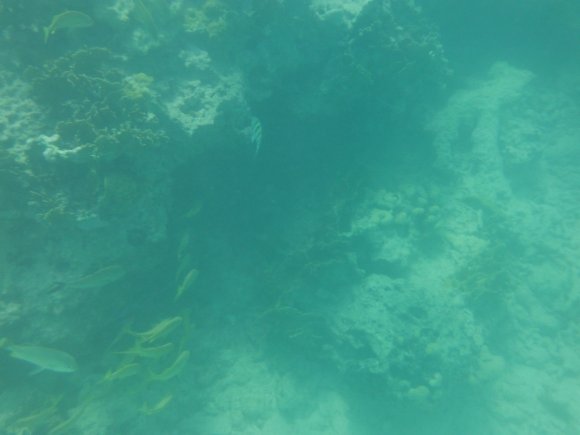 DSCF1257