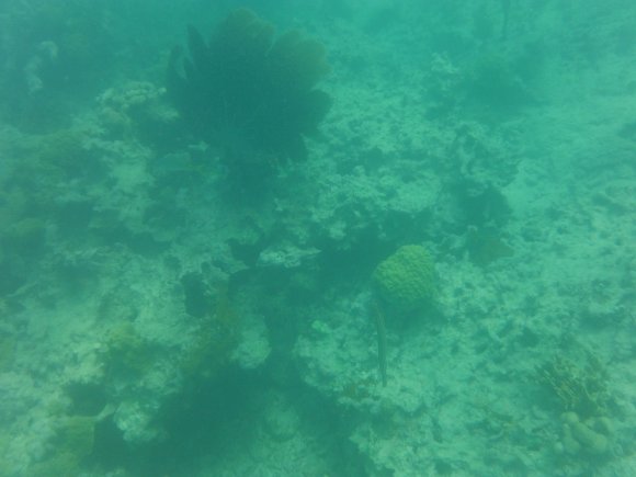 DSCF1259