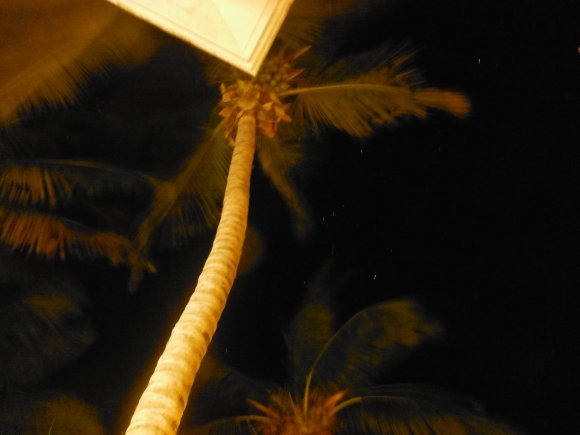 DSCF1350