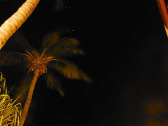 DSCF1351