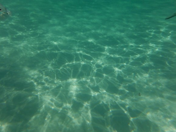 DSCF1382