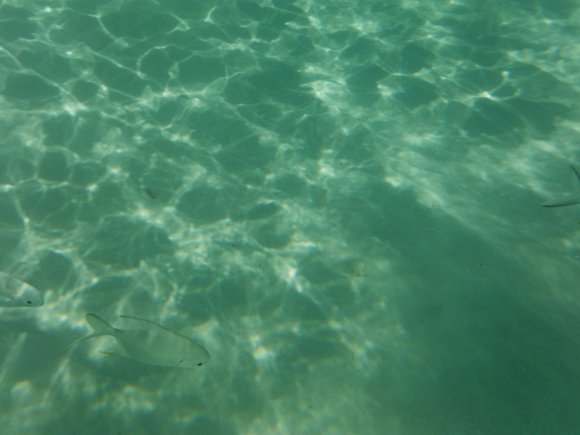 DSCF1404
