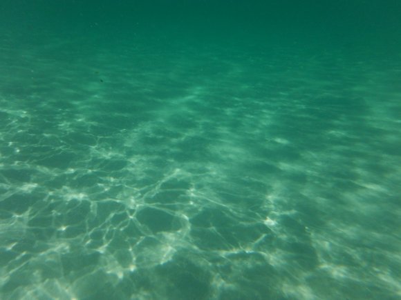 DSCF1416