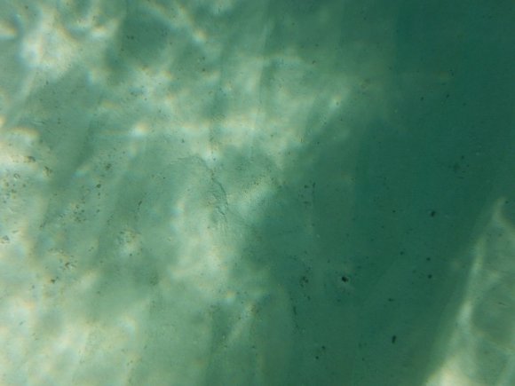 DSCF1419