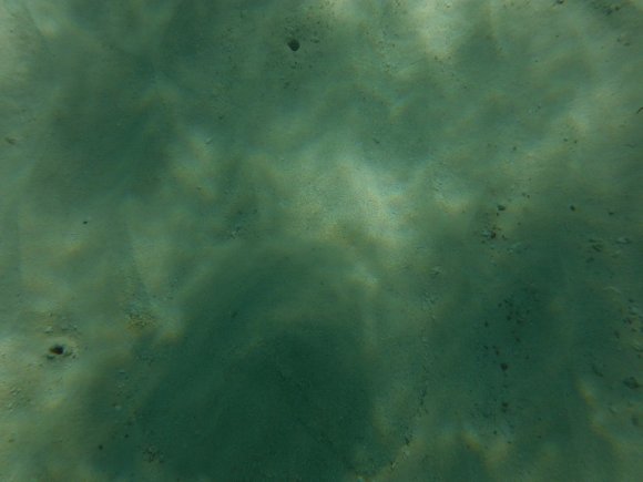 DSCF1420