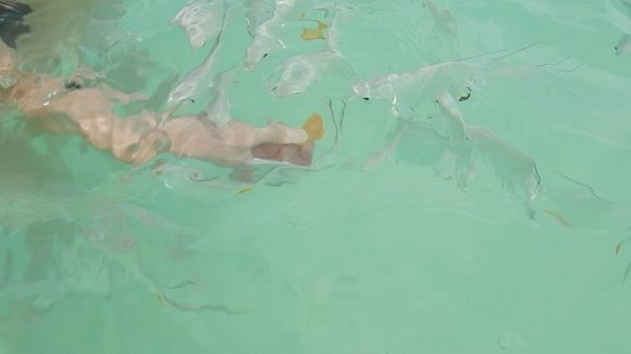 DSCN0906