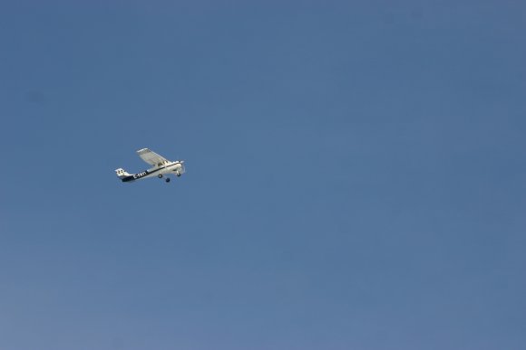 IMG_6508