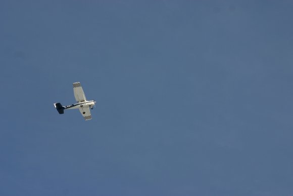 IMG_6509