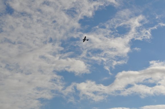 DSC_0050