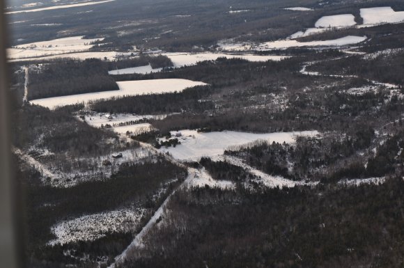 DSC_0242