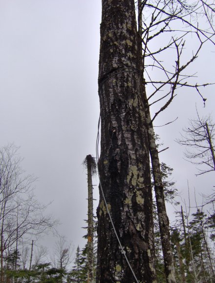HPIM0654.JPG