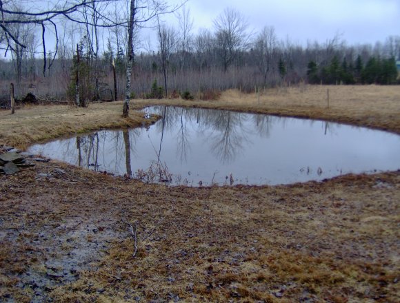 HPIM0655.JPG