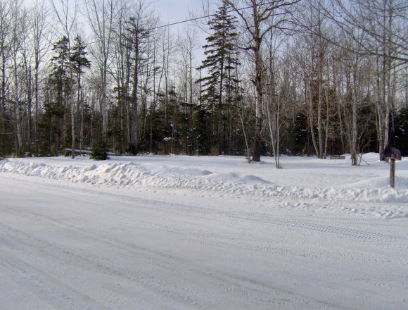 HPIM0509.JPG
