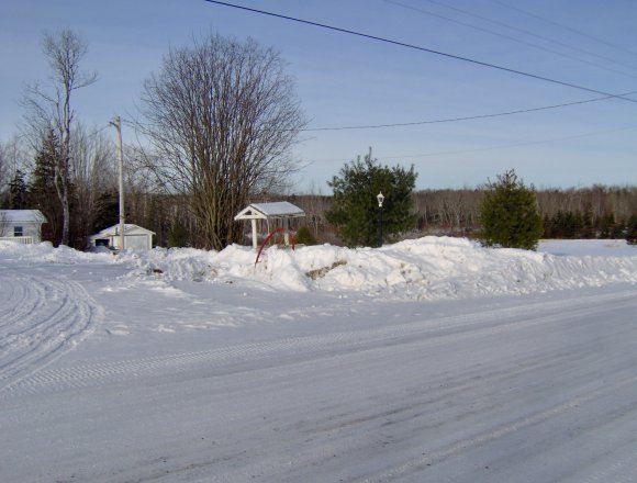 HPIM0510.JPG