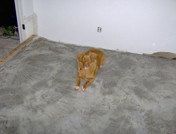 HPIM1038.JPG