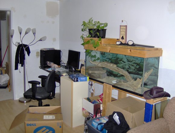 HPIM0737.JPG