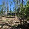 2014-06-03 - Land Clearing