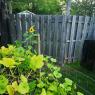 IMG_20200810_193843