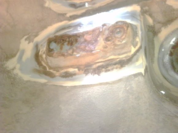 IMG00248-20100228-1118