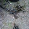 IMG00294-20100815-1323