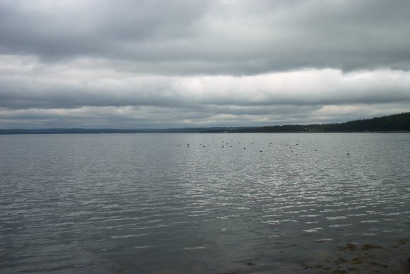 im002332