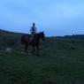im001016