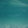 DSCN0759