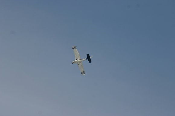 IMG_6515