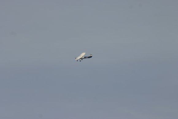 IMG_6519