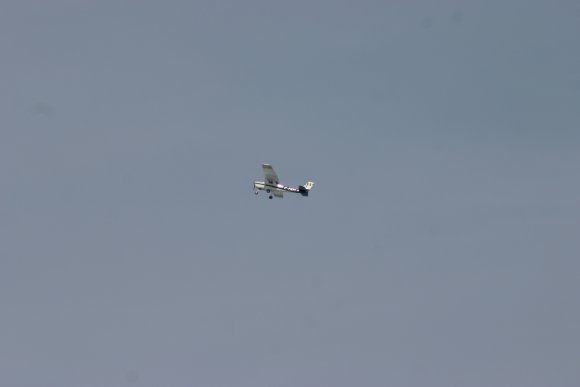 IMG_6522