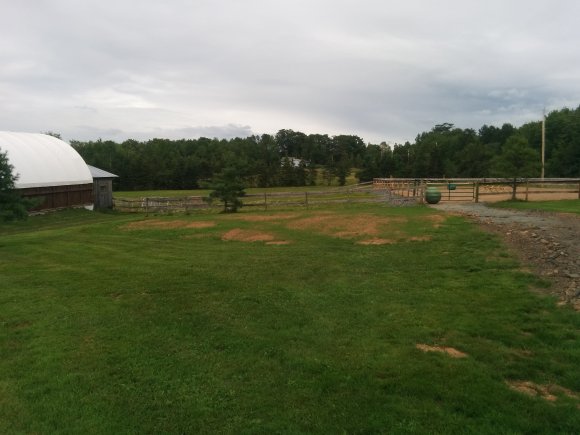 IMG_20150824_172826